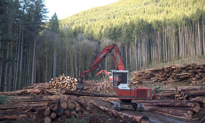 Canada and US to Keep Softwood Talks Going Despite Deadline Expiry
