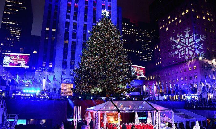Iconic Rockefeller Christmas Tree Has Been Chosen