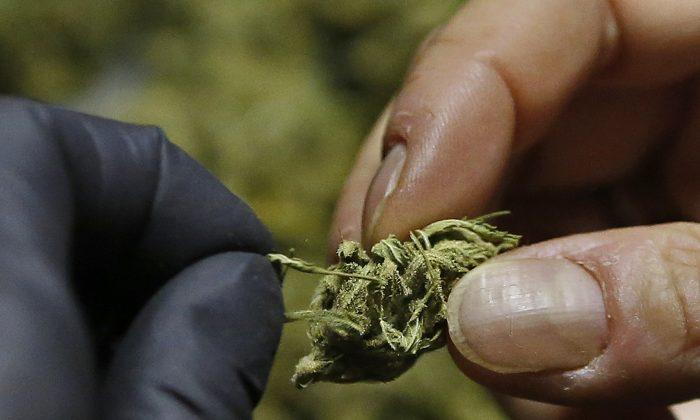 California Voters Approve Recreational Marijuana