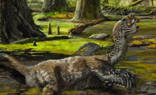 ‘Saddest’ Dinosaur Fossil Found Shows Struggle Before Death (Video)