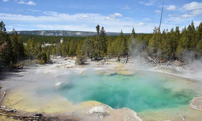 Report: Man Died Seeking Place to Soak in Yellowstone Park