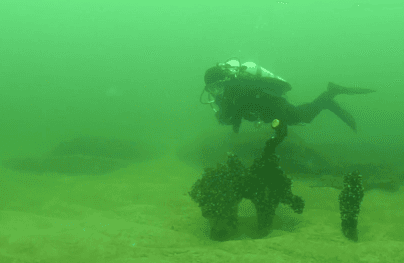 Researchers Explore Underwater Stone Age Settlement (Video)