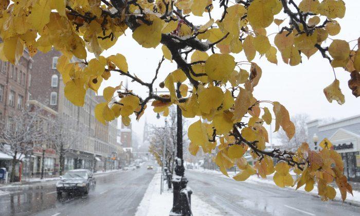 Potentially Record Cold Temperatures Coming to US Next Week: Forecasters