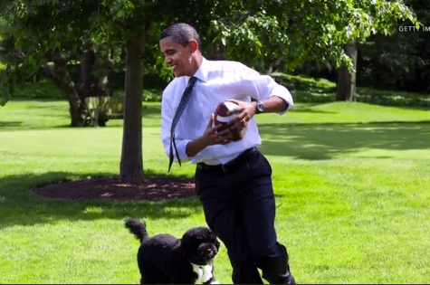Trump Could Be First President With No Pet in Over a Century (Video)