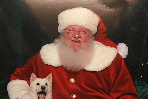 Dog Meets Real-Life Version of Its Favorite Santa Toy (Video)