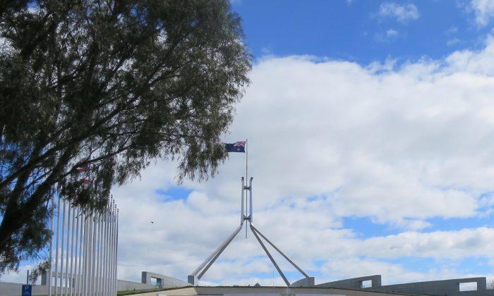 Australian Senate Moves Against Unethical Organ Procurement