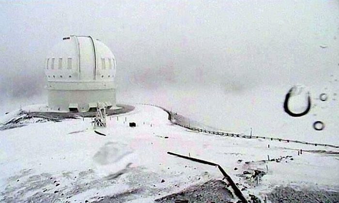Up to a Foot More Snow Expected for Hawaii Mountaintops