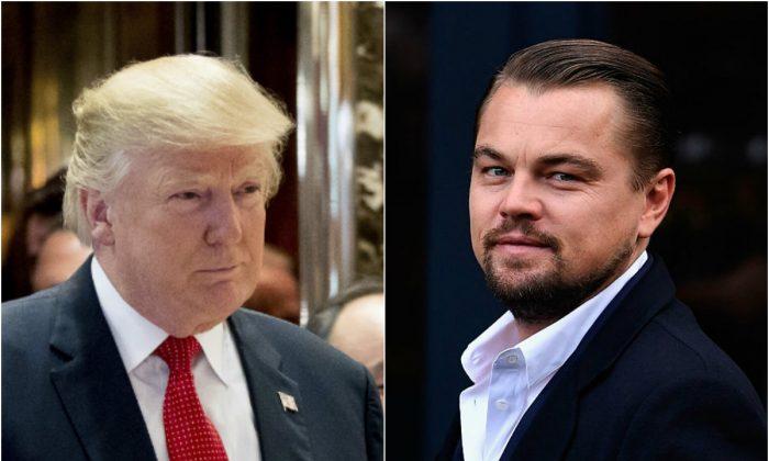 Leonardo DiCaprio, Trump Discuss Green Jobs