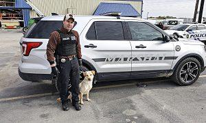 Shelter Dogs Become Police K-9s Under Texas Trainer