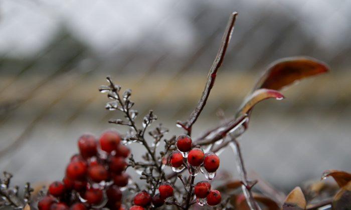 More Freezing Rain, Temperatures Expected for Central US