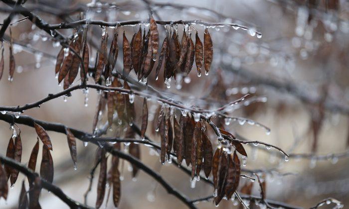 11,000 Without Power in Oklahoma After Ice Storm