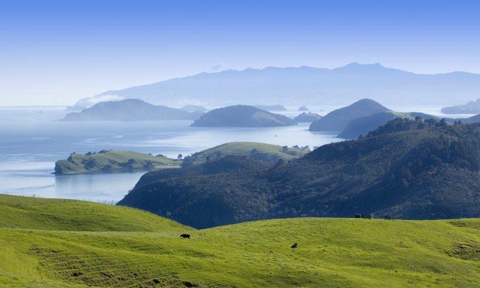 The Secret’s Out: New Zealand’s Favourite Holiday Spot