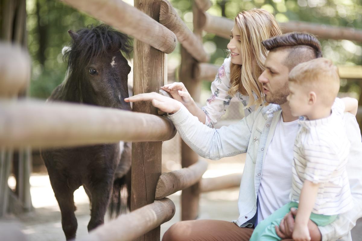 How to Raise Kind Kids