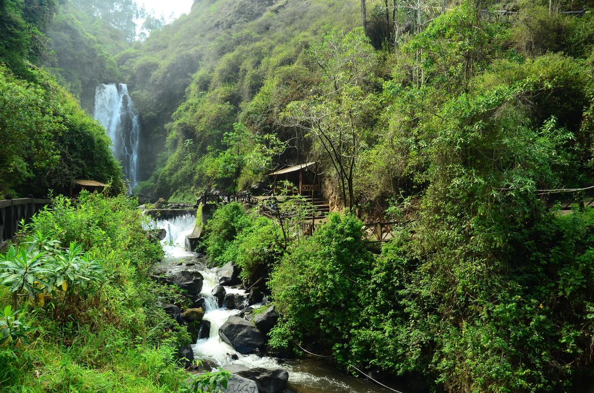 A waterfall in a rainforest in Ecuador. (Roman Kuryluk/Shutterstock)