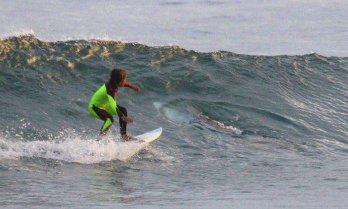 Young Aussie Surfer Photo Bombed by Shark That Shared Wave