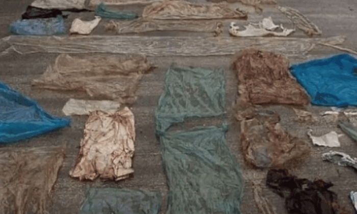 Dead Whale’s Stomach Found to Contain 30 Plastic Bags (Video)