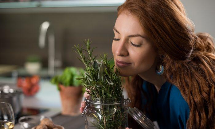 The 5 Best Herbs to Soothe Your Nerves