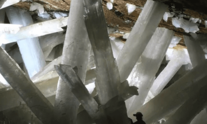 Life Forms Found in Mexico’s Underground Crystals May be 50,000 Years Old (Video)