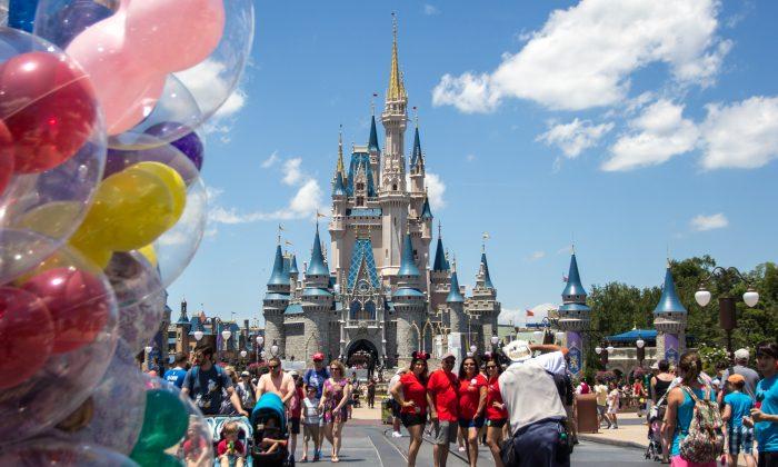 Disney World Sustains Minor Irma Damage, Reopens Tuesday