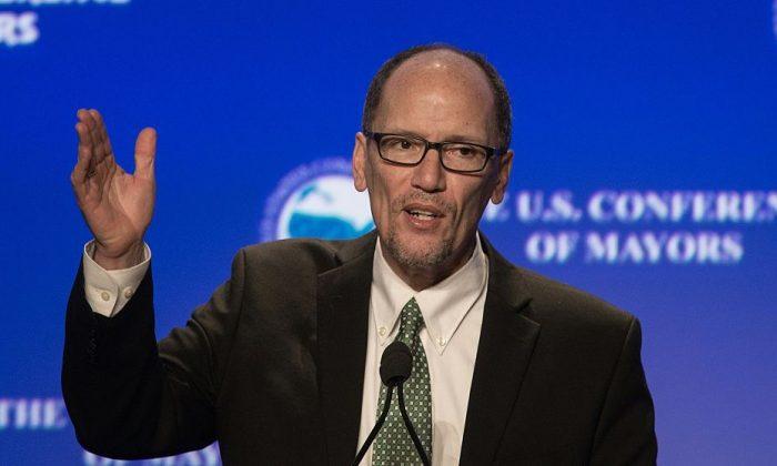 New DNC Chief Seeks to Revive Party After Staggering Losses 