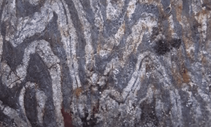 Scientists Dig Up Earth’s Oldest Fossil (Video)