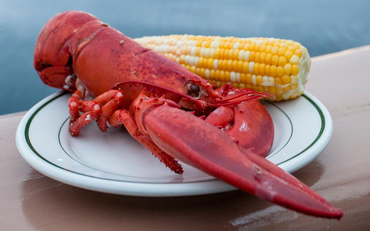 Lobster Catch Headed for Decline, Not Crash, Scientists Say