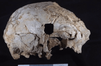 Researchers Find 400,000-Year-Old Human Cranium in Portugal (Video)