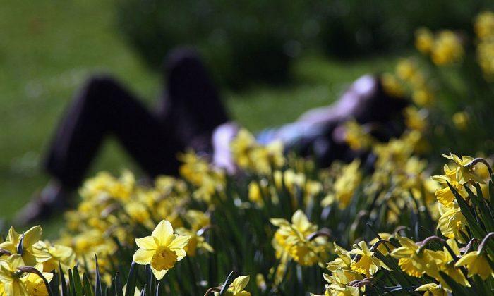 Get Ready For the Chinese Spring Equinox