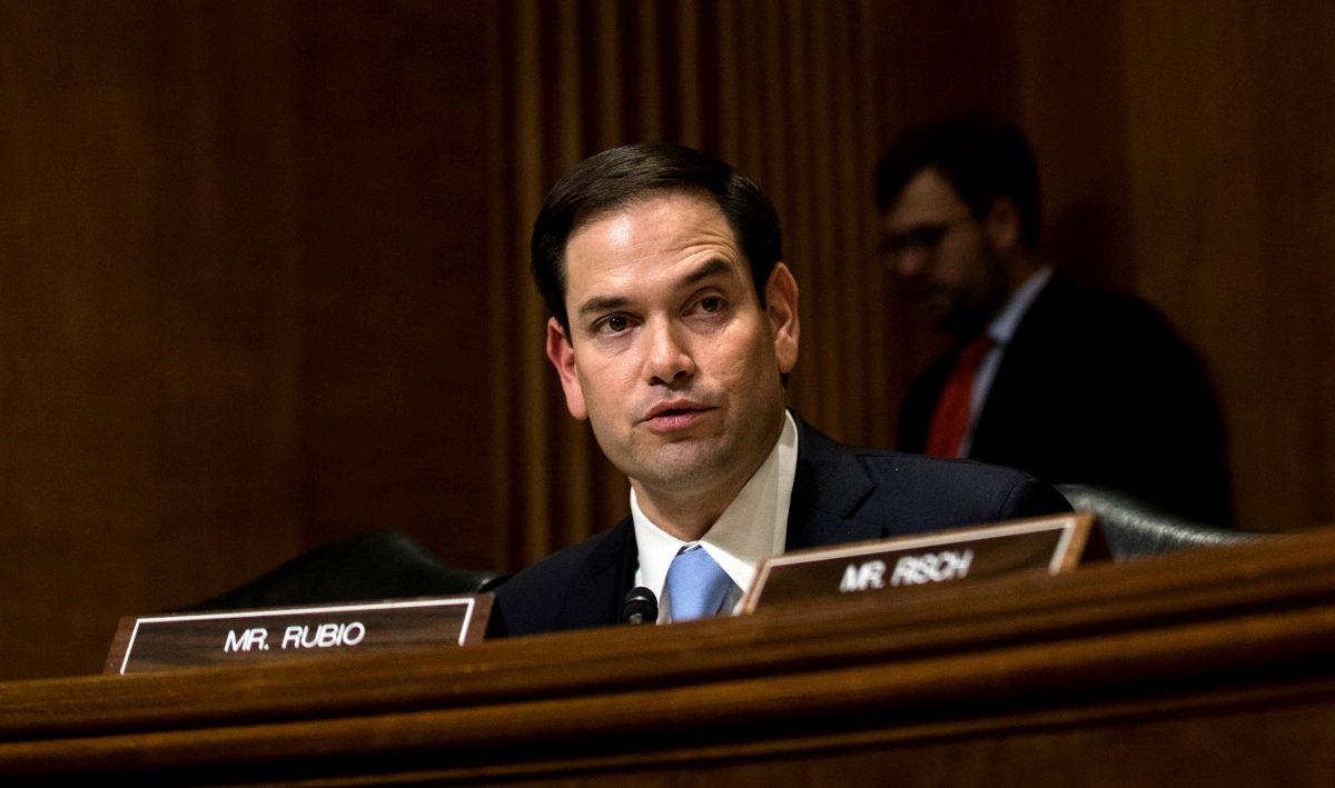 Sen. Marco Rubio (R-FL) during a Senate Foreign Relations Committee business hearing on Capitol Hill in Washington on Jan. 21, 2017. (Drew Angerer/Getty Images)