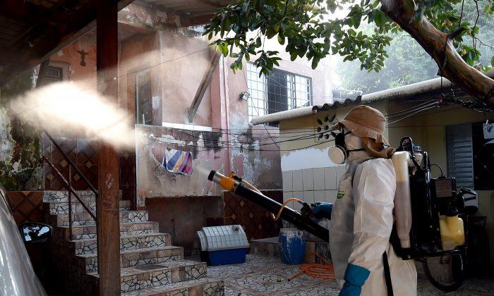 Zika’s Link to Birth Defects Overstated, Say Researchers