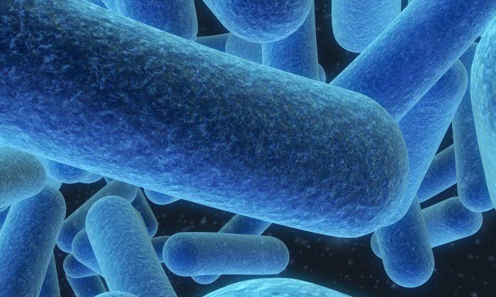 Microbiome: The Body’s Great Conductor