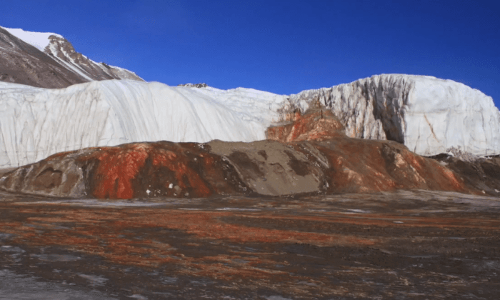 Century-Old Mystery of Antarctica’s Blood Falls Solved, Scientists Say (Video)