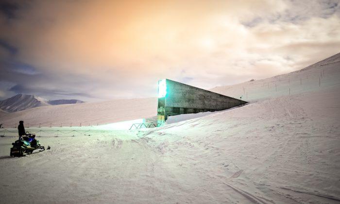 Global Doomsday Seed Vault to Get New Batch of Seeds