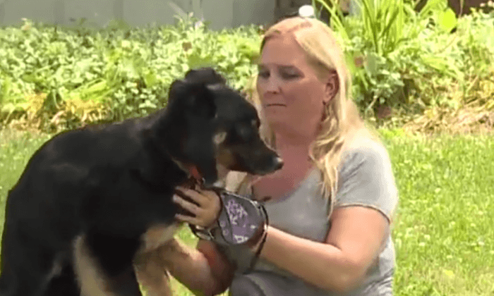 Strangers Feed Stray Dog for 2.5 Years Before Findings Its Owner