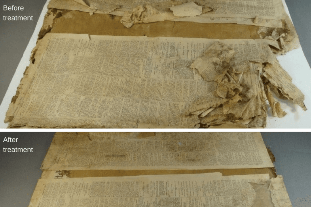 118-Year-Old Painting by Beloved Explorer Found in Antarctica