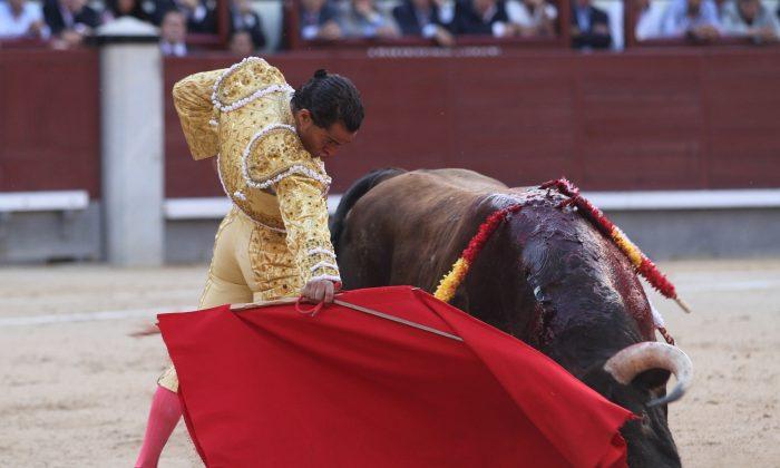 ‘Hurry Up, I’m Dying’: Final Words of Fatally Gored Matador Are Revealed