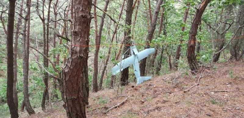 In this June 9, 2017, photo provided by South Korean Defense Ministry on June 13, 2017, a suspected North Korean drone is seen in a mountain in Inje, South Korea. (South Korean Defense Ministry via AP)
