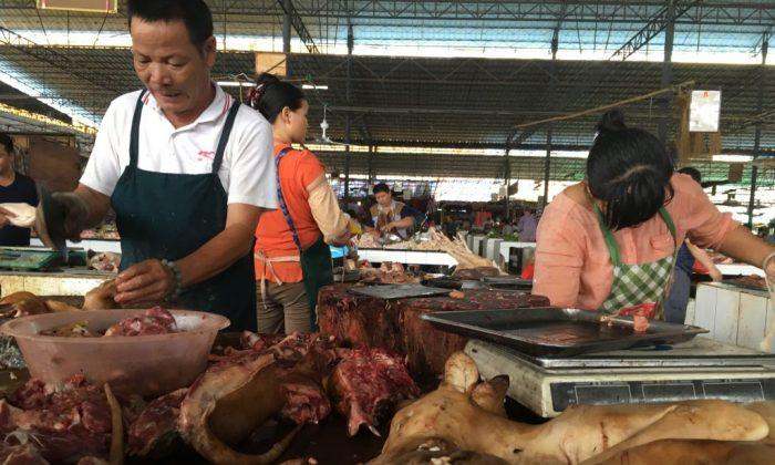 Dog Meat Festival Opens in China Despite Ban Rumors