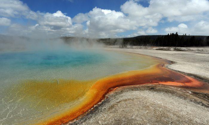 Yellowstone Earthquake Swarm Grows to 878 Events in Two Weeks