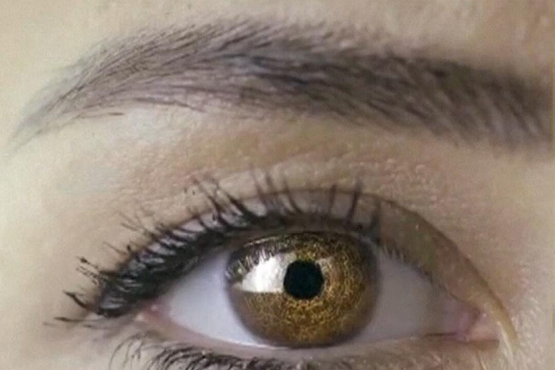 Israel Launches Fund to Invest in Spy Tech