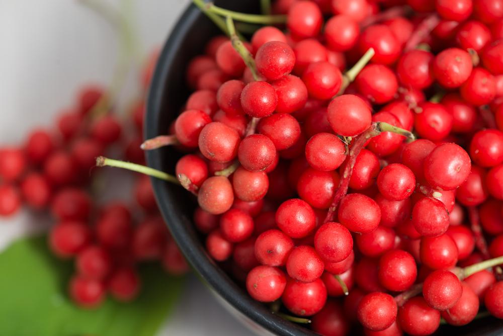 One unusual specimen said to contain every flavor is the schizandra berry, known as wu wei zi (five-flavor berry) in Chinese. (Leonid S. Shtandel/Shutterstock)