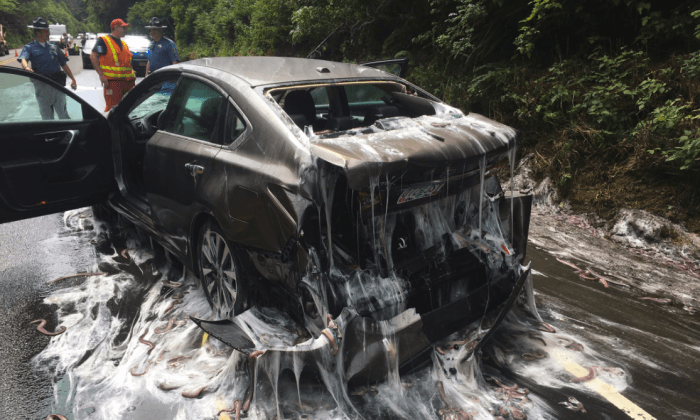 7,500 Pounds of Nightmarish Slime Eel Splatter Cars on Oregon Highway With Ooze