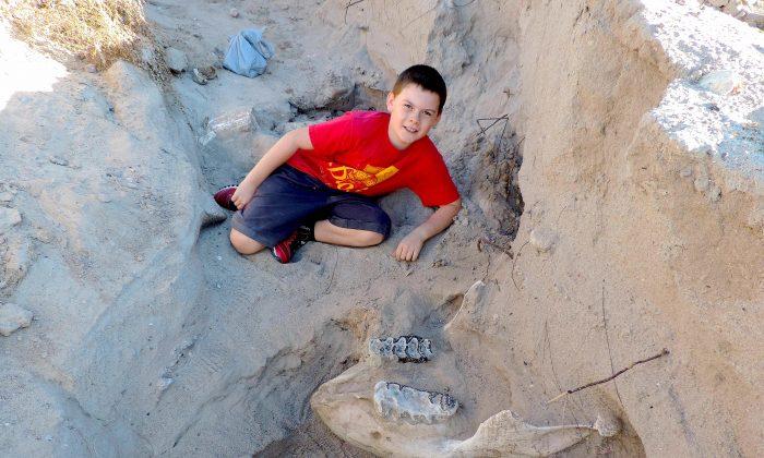 Boy Literally Stumbles Upon Rare Fossil of Prehistoric Animal