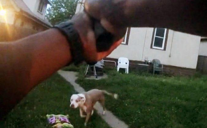 Graphic Body Cam Video Shows Police Officer Shooting Two Dogs