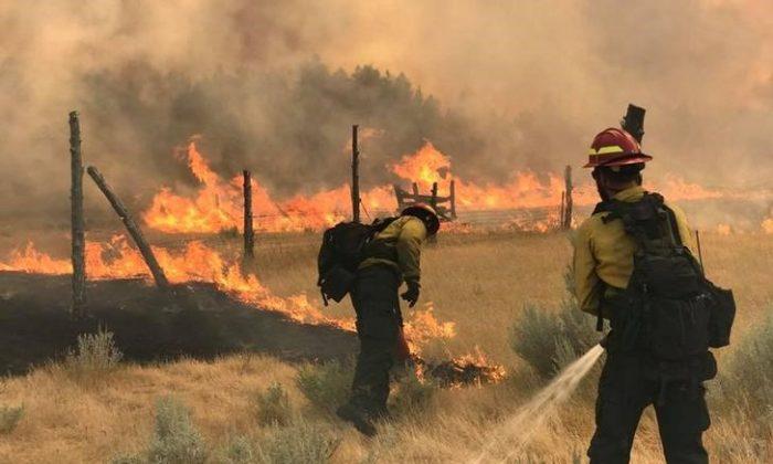 Crews Gain Ground Against Montana Wildfire, Largest in US