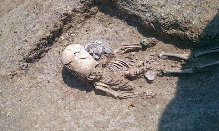 2,000-Year-Old Skeleton of Toddler With Elongated Skull Found in Crimea