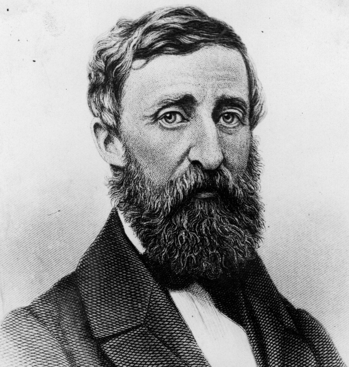 Henry David Thoreau, circa 1850. (Public Domain)
