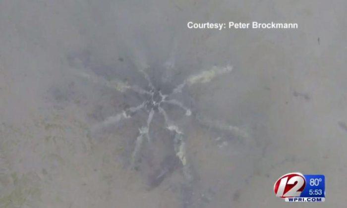 Mysterious ‘Metal Starfish’ Discovered on US Beach, Experts Baffled