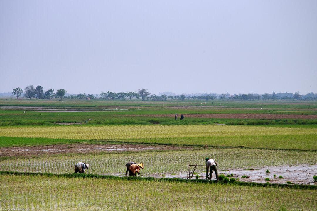 Heading Off the World’s Water Woes