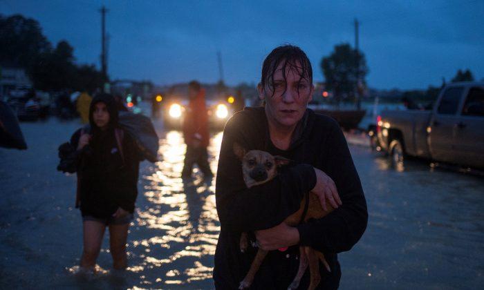 Harvey Soaks Louisiana as Houston Paralyzed by Flooding